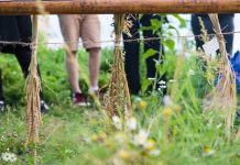 El barco de semillas Seed Journey recalará el lunes en Donostia