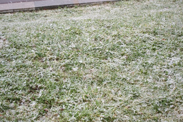 fotonoticia_20170102173046_640