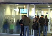 El Gobierno Vasco detectó 442 fraudes en la RGI en 2017