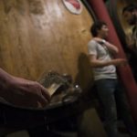 barrica_799_opt