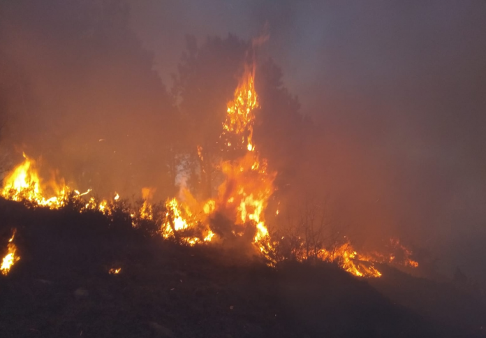 screenshot-twitter.com-2019.02.28-08-11-43