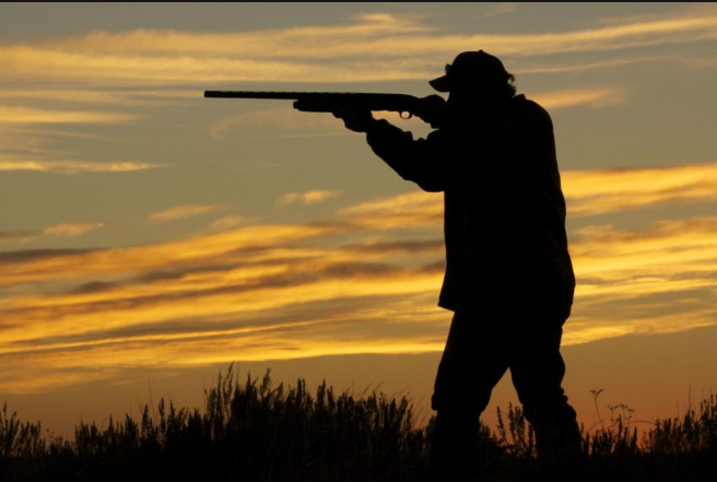 screenshot-www.google.com-2019.09.12-09_16_43