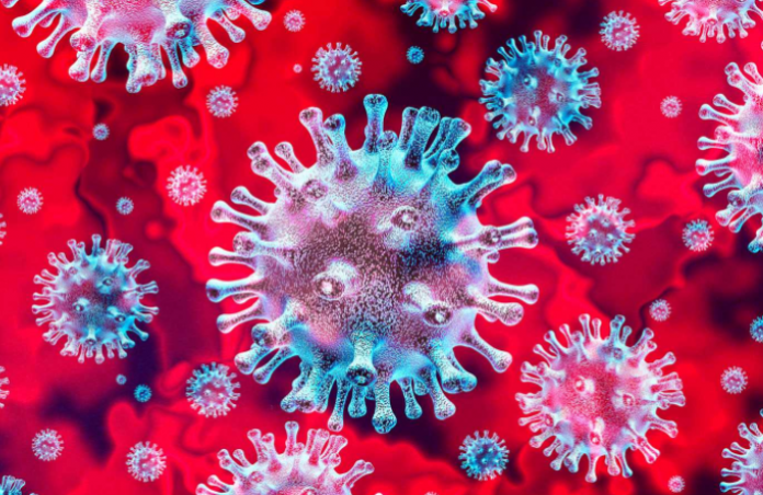 screenshot-www.google.com-2020.06.24-08_10_55