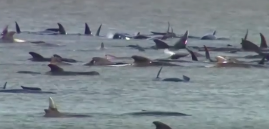 screenshot-www.facebook.com-2020.09.22-12_52_20