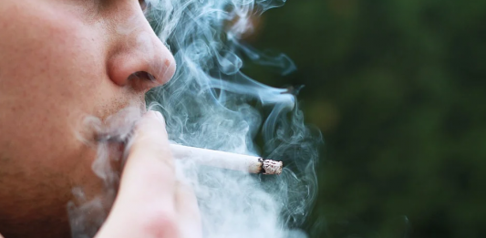 La venta de tabaco se reduce a la mitad en Gipuzkoa en las últimas dos décadas
