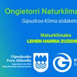2533X635 GIPUZKOAKO HITZA