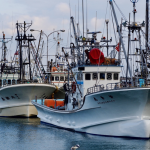 pesca barco