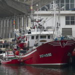 pesca barco