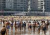 El calor extremo y el viento del sur ponen a Euskadi en alerta por temperaturas de hasta 35 ºC y riesgo de incendios