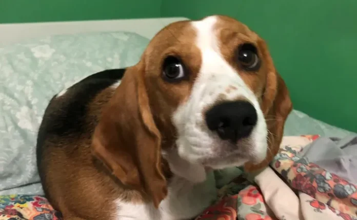 634e152b2200003c00f1efd8