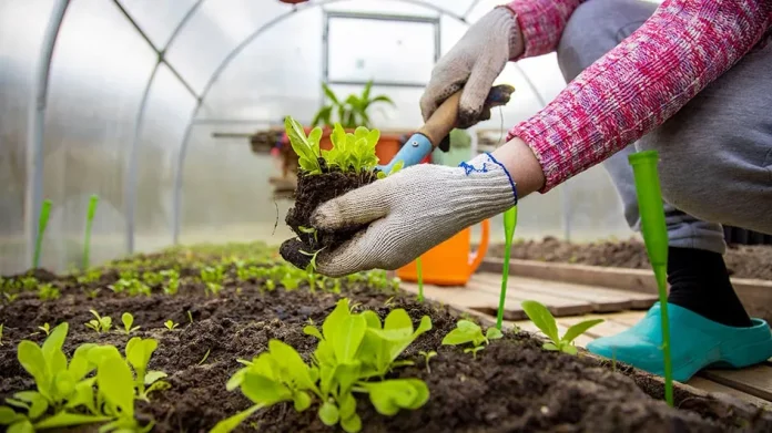 Nekazaritza-lehenengo-sektorea-696x391-1