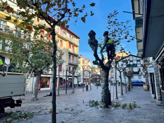 El Ayuntamiento de Hondarribia comienza con la poda de árboles de otoño