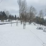 nieve bergara