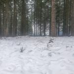 1674656739466
