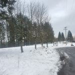 nieve bergara