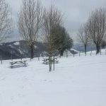 nieve bergara