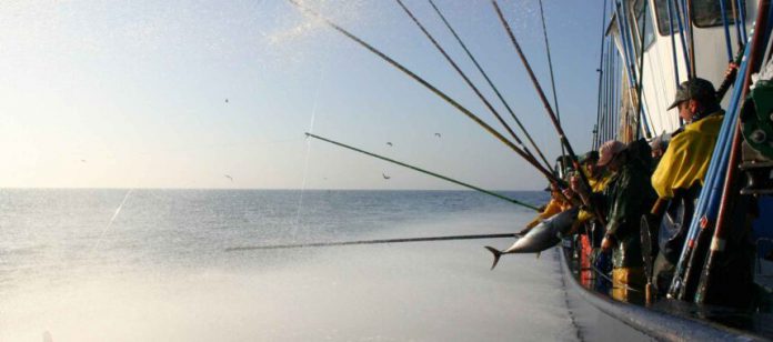 arrantzales-bonito-sostenibilidad-dia-mundial-pesca-860x380-1-1-696x308-1