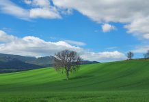 Euskalmeten arabera, martxoa oso beroa eta oso lehorra izan da