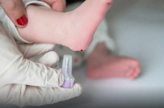 Captura-de-pantalla-2023-05-24-a-las-12.24.52-696x457-1