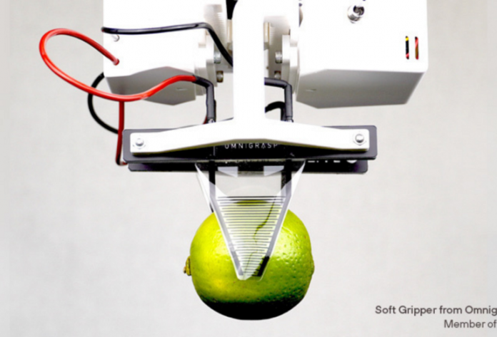 hartu-768x522-1-696x473-1