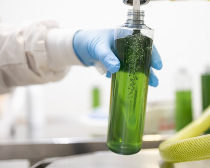 algologie-internacional-768x614-1-696x556-1