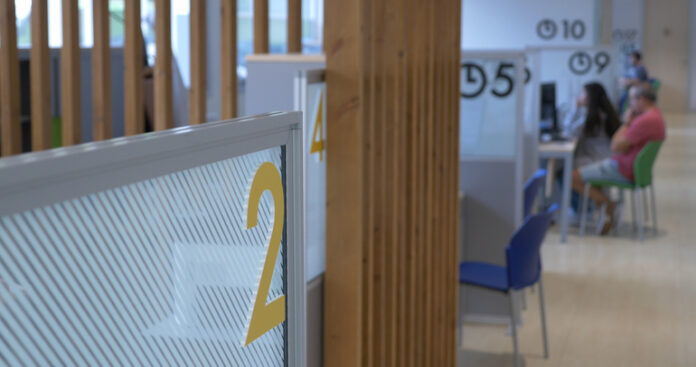 n770_Lanbide_Zalla_15-696x367-1