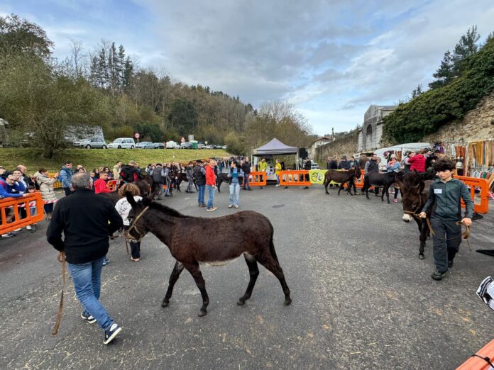 01_12_2024_Gordexola__11_-696x522-1