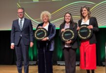 Gipuzkoako Foru Aldundiak Euskaliten errekonozimendua jaso du, Zaintza HerriLab estrategian egindako gizarte-berrikuntzagatik