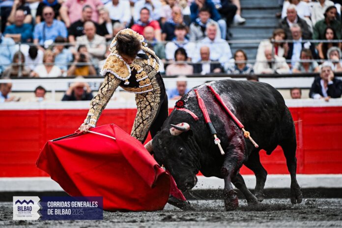 c791db78-117e-4ec2-81d9-16270847