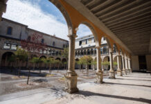 Gobernuak musikako eta arte eszenikoetako katedradunen eta arte plastikoetako eta diseinuko tailerreko irakasleen eta maisuen 48 lanpostu hutsen espezialitatea zehaztu du