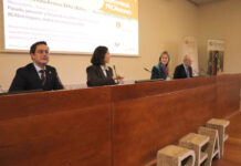 BGAEak Euskadiko bpgaren % 33 dira, biztanleriaren % 35 eta 32.000 m baino gehiagoko ondarea barne hartuta