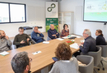 Sostenibilidad seguirá asumiendo el coste de los puntos de recarga de vehículos eléctricos en municipios de menos de 5.000 habitantes