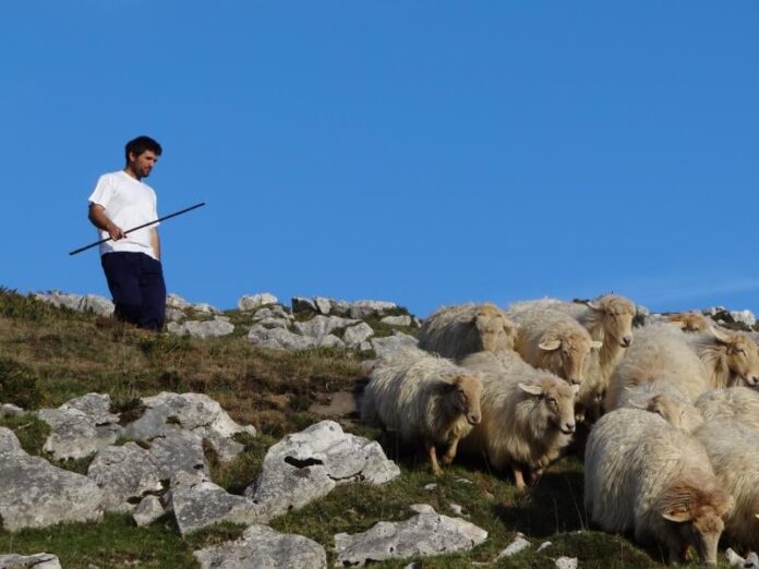 116384092_160396192244704_6578788964140585592_n-696x522-1