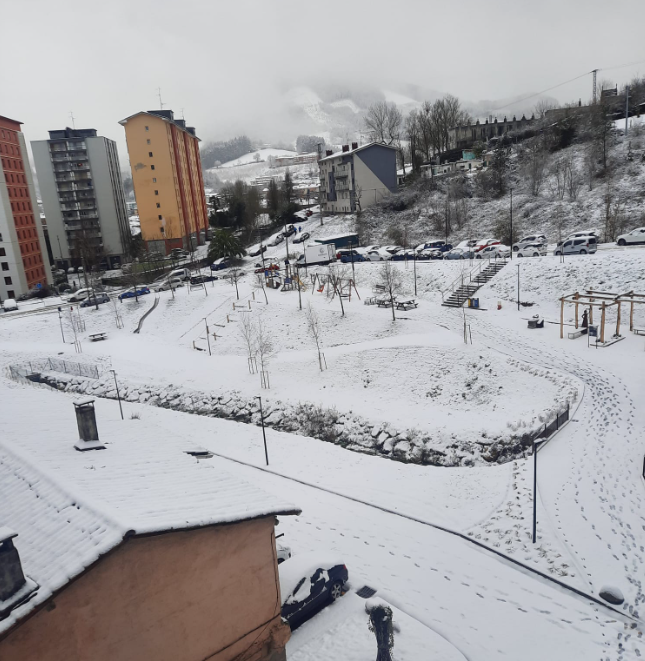 Captura de pantalla 2026-01-07 080633