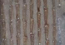 Maria Jesus San Jose sailburuak eta Alberto Alonso zuzendariak Manuel Leon Gomez Urduñako espetxe frankistaren biktimaren gorpuzkiak eman dizkiote familiari