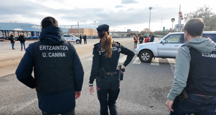 Captura-de-pantalla-2026-01-23-074418-696x373-1