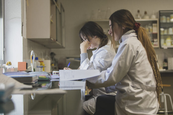 FP_Navarra_005720-696x464-1