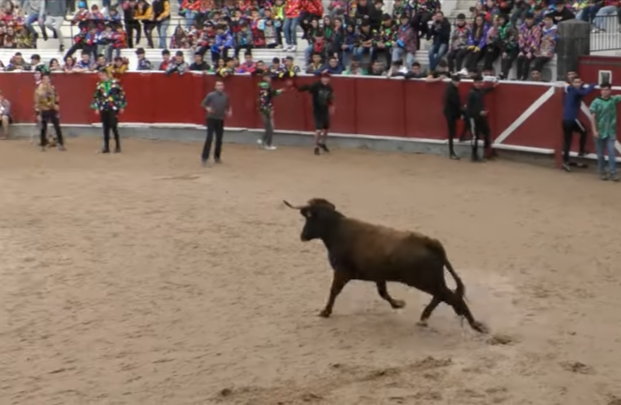 49-¡EL-TORO-SALTA-AL-CALLEJÓN-VAQUILLAS-TOLOSA-JUEVES-GORDO-2025-YouTube-02-03-2026_08_21_AM