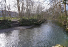 Errenteria culmina la recuperación ambiental de un tramo del río Oiartzun en Fanderia