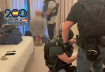 Macrooperación en Euskadi: cinco detenidos y 300 kilos de anfetamina incautados