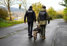 La Ertzaintza adoptará perros de un centro de protección animal para reforzar su Unidad Canina