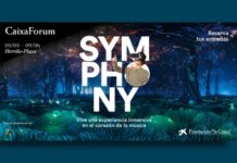 Symphony: musikaren bihotzera egindako bidaia, Gustavo Dudamelen gidaritzapean