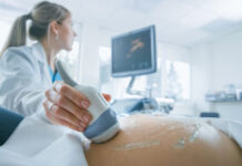 El modelo predictivo de salud materna sitúa a Euskadi como referente estatal en la prevención de la preeclampsia