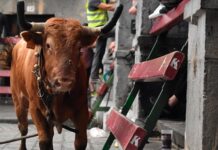El pleno de Eibar ratifica la celebración de la sokamuturra para las fiestas de San Juan