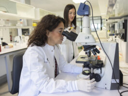 La investigación pública vasca descubre un tratamiento potencial para frenar una enfermedad hepática rara