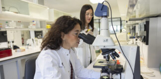 La investigación pública vasca descubre un tratamiento potencial para frenar una enfermedad hepática rara