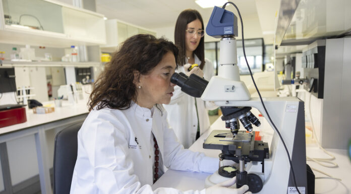 La investigación pública vasca descubre un tratamiento potencial para frenar una enfermedad hepática rara