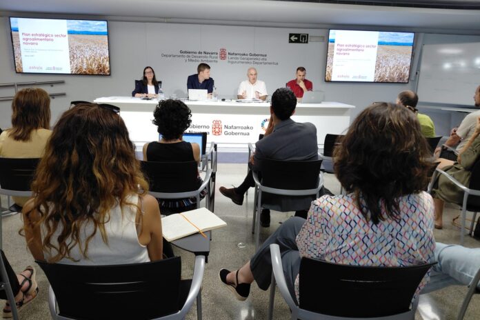 230726DRM_PLANESTRATEGICO-696x464-1