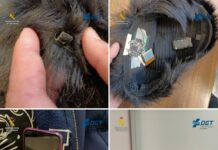 La Guardia Civil detecta a nueve personas copiando con sistemas electrónicos en los exámenes de conducir en Euskadi