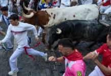 Un joven de Idiazabal resulta herido por asta de toro en el segundo encierro de San Fermín